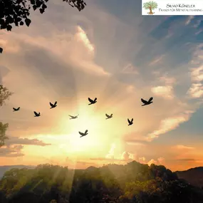 Vögel die gemeinsam in einer schönen Morgenstimmung fliegen.