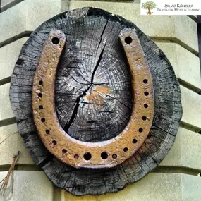 Hufeisen auf altem Holz