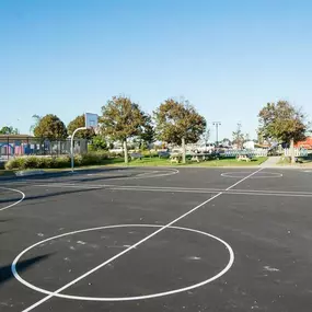 Basketball Court at Brookwood at Bay Shore