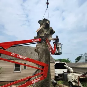 Bild von Parks Tree West (WestShore Tree Service LLC)