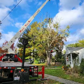 Bild von Parks Tree West (WestShore Tree Service LLC)