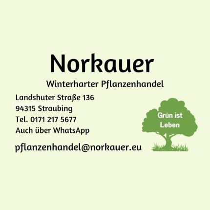 Logo von Norkauer Winterharter Pflanzenhandel