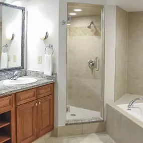 Guest room bath