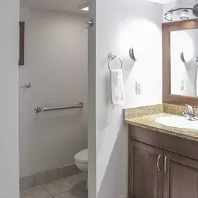 Guest room bath