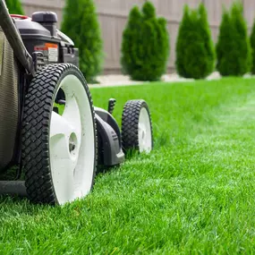 We're experienced in all types of landscaping, which include fertilizing, mulching, weed control, snow removal, and more.