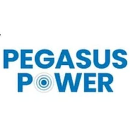 Logo fra Ryser Consulting & Mental Health GmbH (Pegasus Power)