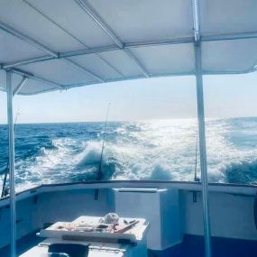 Bild von Reel GRooV Fishing Charters