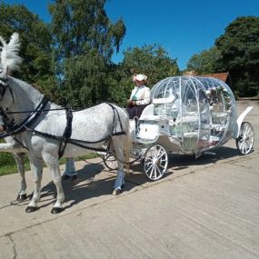 Bild von Snailriver Horse Drawn Carriage Co