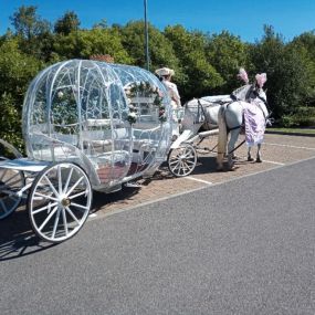 Bild von Snailriver Horse Drawn Carriage Co