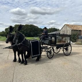 Bild von Snailriver Horse Drawn Carriage Co