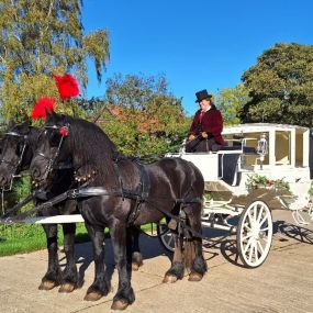 Bild von Snailriver Horse Drawn Carriage Co