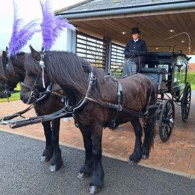 Bild von Snailriver Horse Drawn Carriage Co