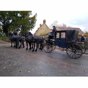 Bild von Snailriver Horse Drawn Carriage Co