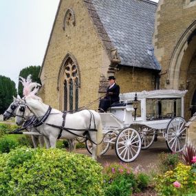 Bild von Snailriver Horse Drawn Carriage Co