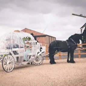 Bild von Snailriver Horse Drawn Carriage Co