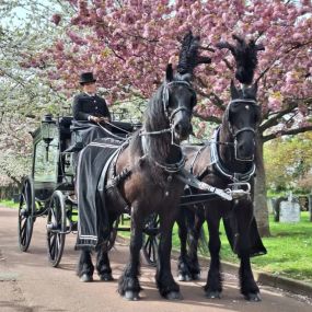 Bild von Snailriver Horse Drawn Carriage Co