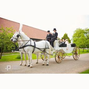 Bild von Snailriver Horse Drawn Carriage Co