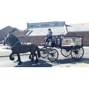 Bild von Snailriver Horse Drawn Carriage Co