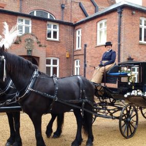 Bild von Snailriver Horse Drawn Carriage Co