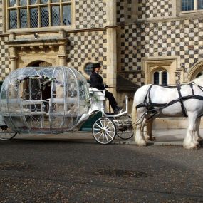 Bild von Snailriver Horse Drawn Carriage Co