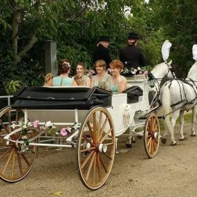 Bild von Snailriver Horse Drawn Carriage Co