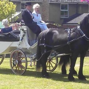 Bild von Snailriver Horse Drawn Carriage Co