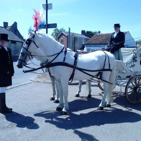 Bild von Snailriver Horse Drawn Carriage Co