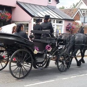 Bild von Snailriver Horse Drawn Carriage Co