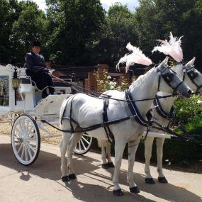 Bild von Snailriver Horse Drawn Carriage Co