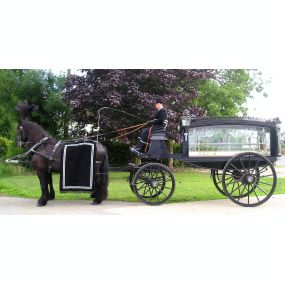 Bild von Snailriver Horse Drawn Carriage Co