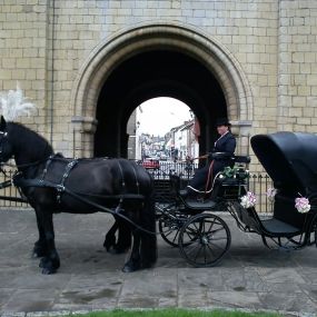 Bild von Snailriver Horse Drawn Carriage Co