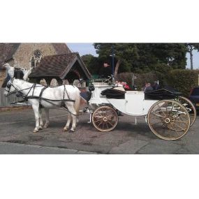 Bild von Snailriver Horse Drawn Carriage Co