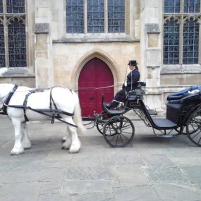 Bild von Snailriver Horse Drawn Carriage Co