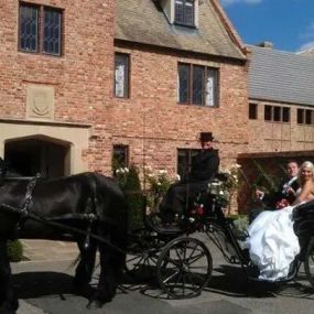 Bild von Snailriver Horse Drawn Carriage Co