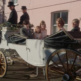 Bild von Snailriver Horse Drawn Carriage Co