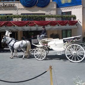 Bild von Snailriver Horse Drawn Carriage Co