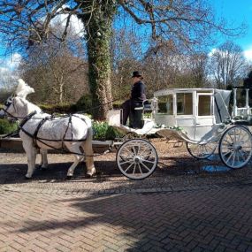 Bild von Snailriver Horse Drawn Carriage Co