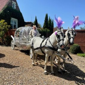 Bild von Snailriver Horse Drawn Carriage Co