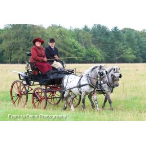 Bild von Snailriver Horse Drawn Carriage Co