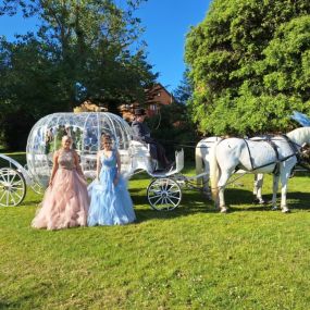 Bild von Snailriver Horse Drawn Carriage Co