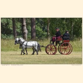 Bild von Snailriver Horse Drawn Carriage Co