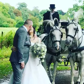 Bild von Snailriver Horse Drawn Carriage Co