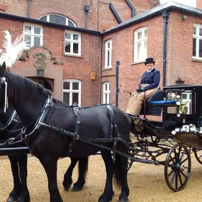 Bild von Snailriver Horse Drawn Carriage Co