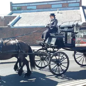 Bild von Snailriver Horse Drawn Carriage Co