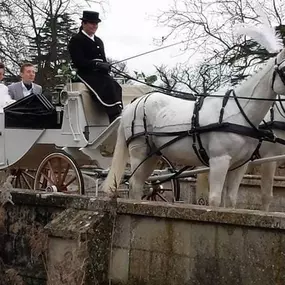 Bild von Snailriver Horse Drawn Carriage Co