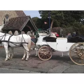 Bild von Snailriver Horse Drawn Carriage Co