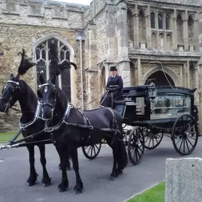 Bild von Snailriver Horse Drawn Carriage Co