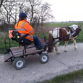 Bild von Snailriver Horse Drawn Carriage Co