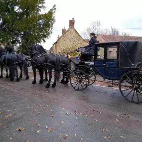 Bild von Snailriver Horse Drawn Carriage Co