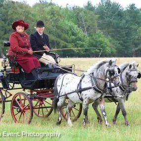 Bild von Snailriver Horse Drawn Carriage Co